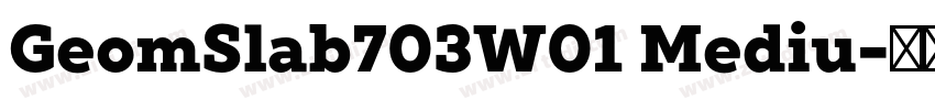 GeomSlab703W01 Mediu字体转换 GeomSlab703W01 Mediu字体转换